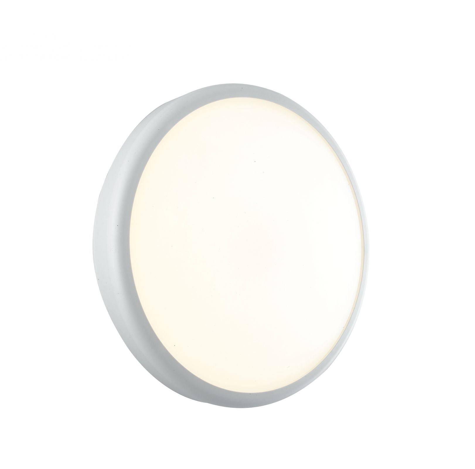 Plafoniera per esterno IP65 base e diffusore in policarbonato bianco o silver led integrato 4000°k 28W 3750lm EVER XL