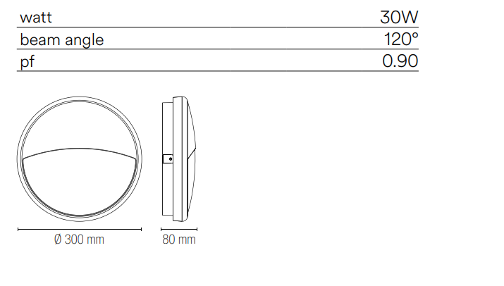 Plafoniera per esterno IP65 base e diffusore policarbonato bianco , antracite con palpebra EVER