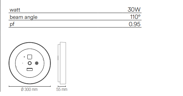 Plafoniera per esterno IP54 a led con WIFI con videocamera di sicurezza integrata 30W 3600lm compatibile con ALEXA/GOOGLE HOME ZOOM-INT